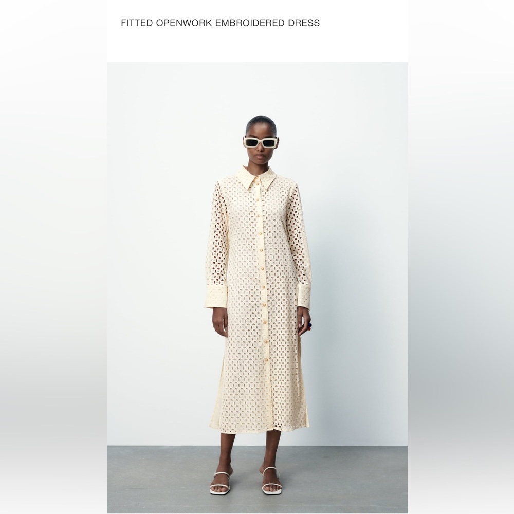 Zara Fitted Openwork Embroidered Dress (medium)